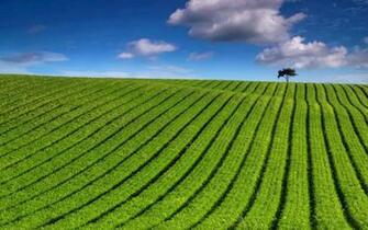 Windows Wallpaper Landscapes HD