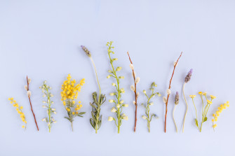 Digital Blooms May Desktop Wallpaper Justinecelina