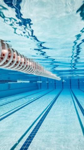 Swimmer Wallpaper Top Background