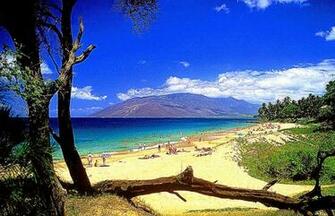 Hawaii Beach Wallpaper HD Best