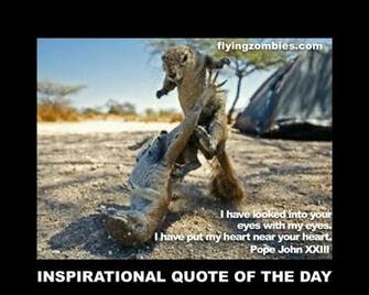 Funny Animals With Sayings Desktop Wallpaper