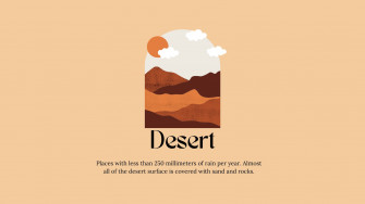 Desert Aesthetic Wallpaper
