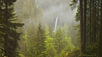 Pacific Northwest Wallpaper