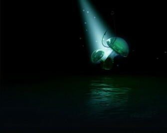 Infected Mushroom By Lysa Bell