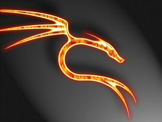 Full Wallpaper Dragon