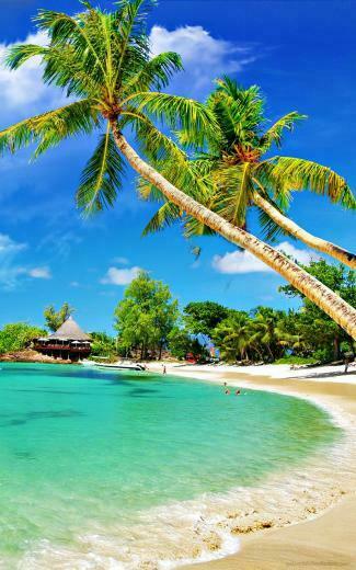 Tropical Water Galaxy Tab Wallpaper Background Photo