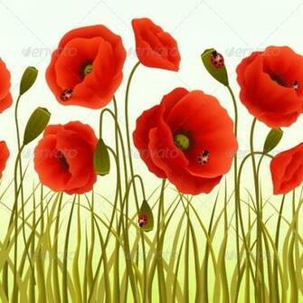 Poppy Wallpaper Flowers Plants Nature