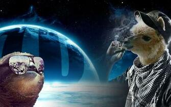 Awesome Dude Comment Added By Ingrain At Pug In Space Wallpaper