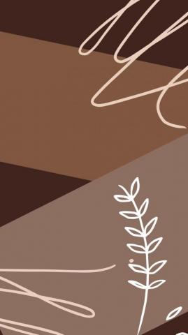 Aesthetics Phone Setup Wallpaper Icons