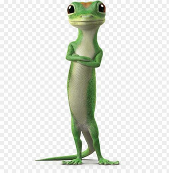 Transparent Gecko Lizard Geico Auto Insurance Landing S Png