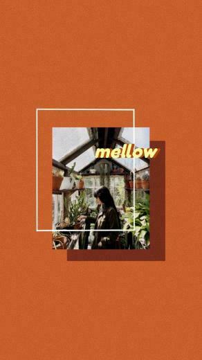 Orange Aesthetic Wallpaper Mellow Non Kpop In