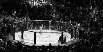 Mixed Martial Arts Wallpaper