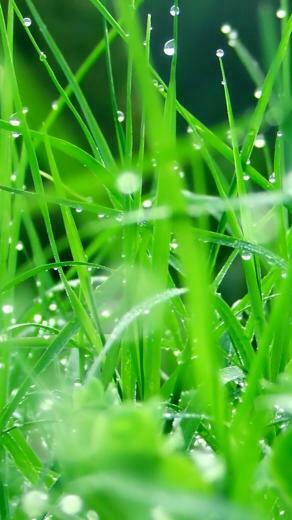 Samsung Galaxy S3 Wallpaper HD High Definition