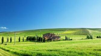 Blue Sky Grass Wallpaper Houses