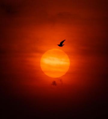 30k Red Sun Pictures Image