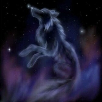 Fantasy Wolf Photo