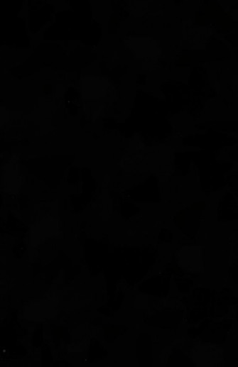 Beautiful Black Background Wallpaper