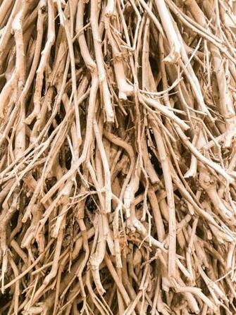 Abstract Background Branch Branches Decoration Photo From