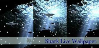 Android Updated Live Wallpaper App 3d Shark
