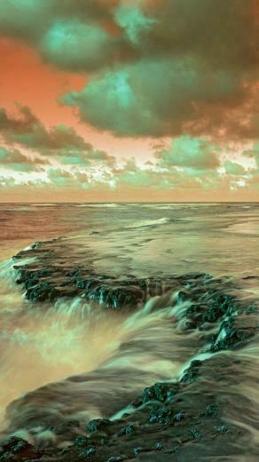 iPhone Wallpaper