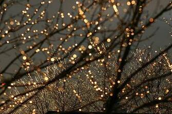 Christmas Lights Background Lhcyqpsrtr Qek Cqo