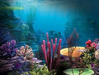 Della Knox Coral Reef Wallpaper