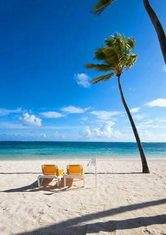 Bavaro Punta Cana Wallpaper Memes