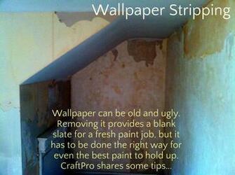 Wallpaper Stripping Pro Tips For Removing Paste To Prep
