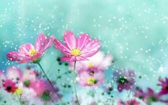 Related Wallpaper For Most Beautiful Nature Flower Pics HD