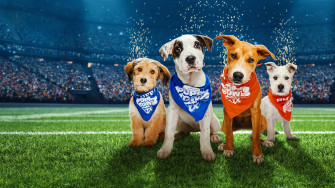 Puppy Bowl Animal Planet Go
