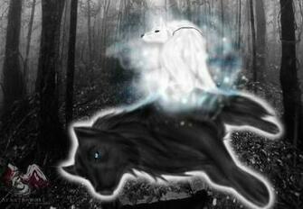 Black And White Wolf HD Wallpaper