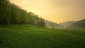 Wallpaper Tree Sunset Grass Spring After The Storm