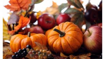 Fall Pumpkin Wallpaper Pictures