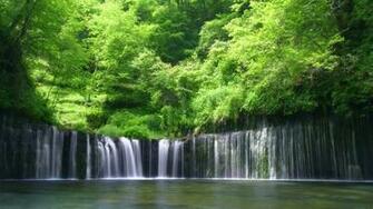 HD Forest Wallpaper Wide Screen 1080p 2k 4k