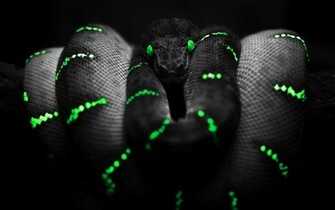 Tag Dark 3d Wallpaper Background Photos Image And Pictures For