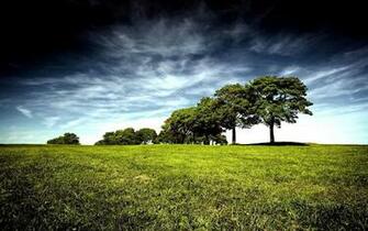 Nature Spring Wallpaper