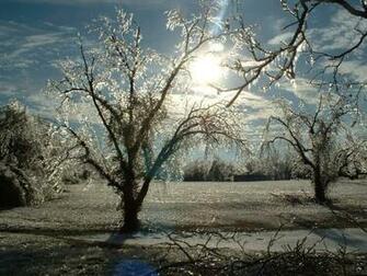 Ice Storm Wallpaper Weddingdressin