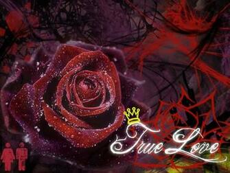 Cards Labels Love Wallpaper Valentine