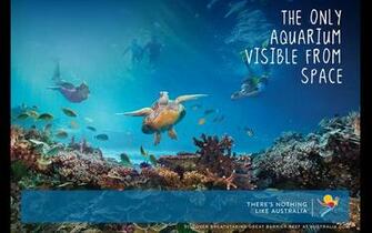 Screensaver And Digital Wallpaper Campaigns Tourism Australia