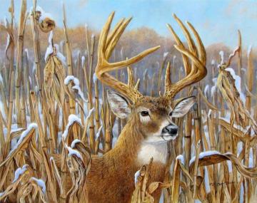 Deer Wallpaper