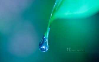 Natural Beauty The Big Screen Wallpaper Definition