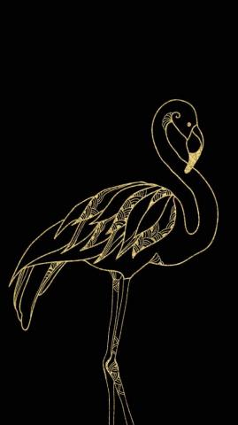 Black Gold Flamingo Wallpaper iPhone