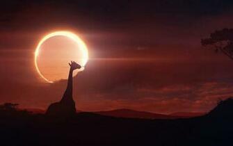 Solar Eclipse Wallpaper
