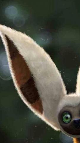 Cute Momo iPhone Wallpaper R Thelastairbender