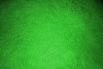 Neon Green Fur Texture High Resolution Photo Dimensions