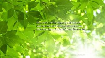 Bible Verses Religion Quote Text Poster To Wallpaper