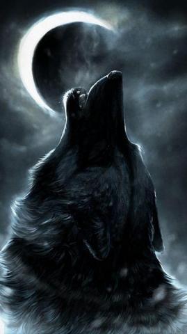 Cool Wolf iPhone X Wallpaper HD Phone