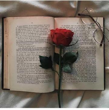 Book Aesthetic Glasses Flowers Library Vintage Rose Libri
