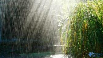 Rainy Day Photo Large HD Resolution