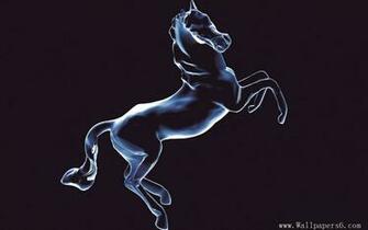 Wallpaper X Ray World Horse